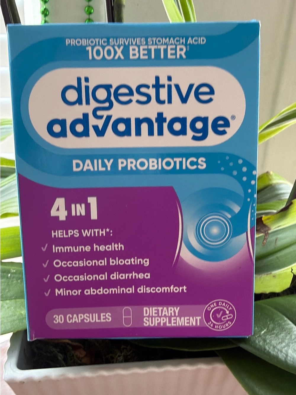 Daily Probiotics 4-in-1 - Purple/Blue